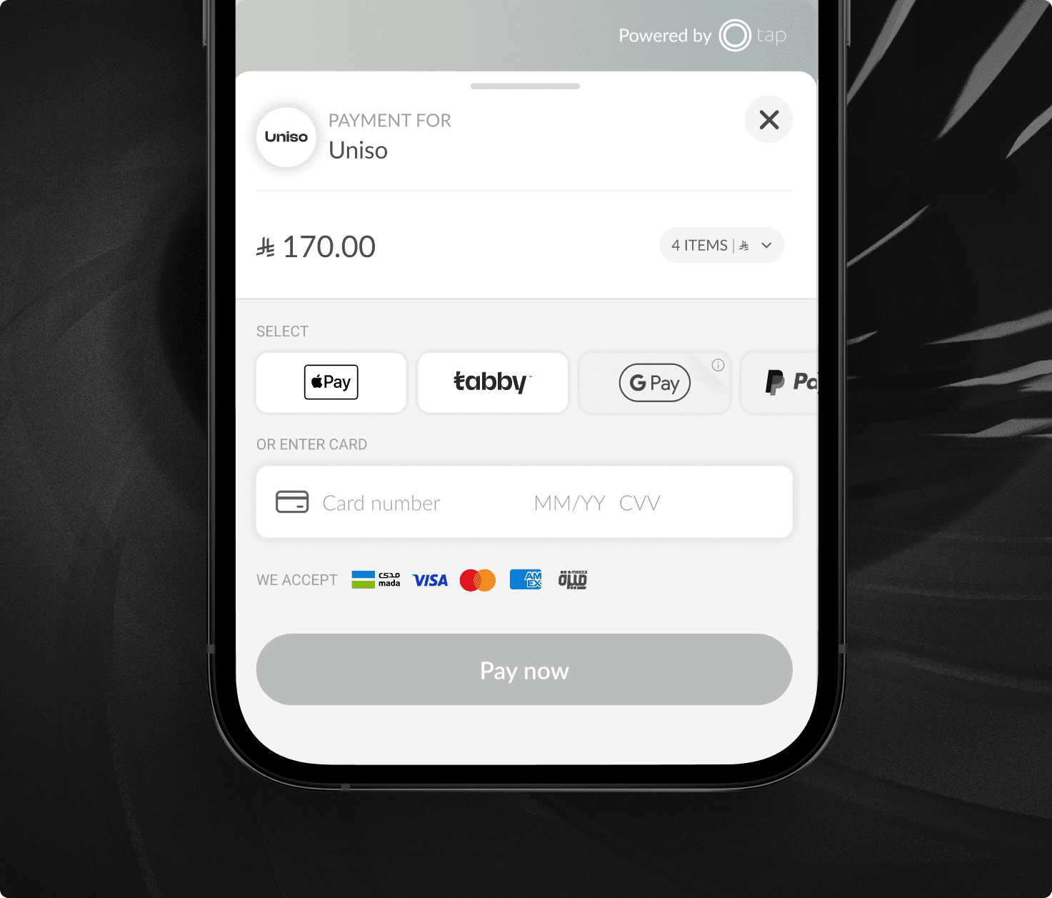 Experience the fastest payment gateway in MENA.png